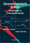 Glycerophospholipids in the Brain