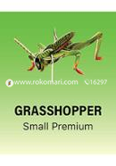 Grasshoper- Puzzle (Code:MS-No.2611E-A) - Small