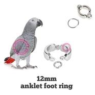 Gray Parrot Bird Anklet/ Leg Ring for Pet Bird Accessories