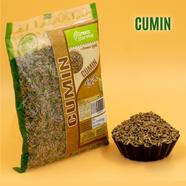 Green Harvest Cumin (250 gm)- GHSP6223