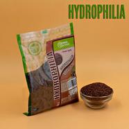 Green Harvest Hydrophilia (100 gm)- GHHR8718