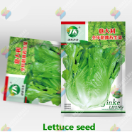 Green Lettuce Seeds Intact Pack - 10gm 