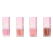 HANDAIYAN Liquid Blush Mousse Set of 4 Pcs-Set B