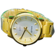 Halei Men Luxury Watches With Stainless Steel Band