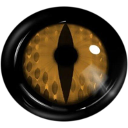 Halloween Cosplay Barclubhousea Orange Color Contact Lenses - HD45-1