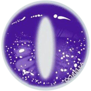 Halloween Cosplay Purple Color Contact Lenses