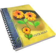Hearts China 3D Notebook 160