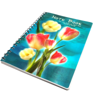 Hearts China 3D Notebook 160 