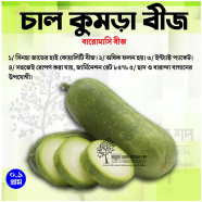 High Grade Chal Kumra Baromasi Beej