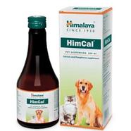 Himalaya Himcal Cat 