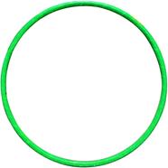Hula Hoop Fitness Equipment Green - 19 Inch icon