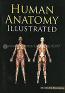 Human Anatomy Illustrated : 1