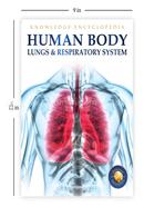 Human Body - Lungs And Respiratory System