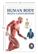 Human Body - Skeletal And Muscular System