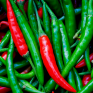 Hybrid All Season Chili Re-Pack (Indian) Seeds - 0.1gm