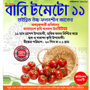 Hybrid BARI-11 Tomato Seeds Re-Pack 1gm
