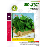 Hybrid F1 Pudina Seeds Intact Pack - 1 gm