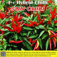 Naomi Seed Hybrid Sun Chili - 1 gm