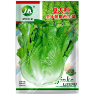 Hybrid Winter Lettuce Imported From China Intact Pack 500 Seeds 