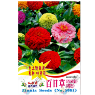Hybrid Zinnia Flower Seed Imported - 10pcs