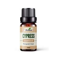 Ikebana Cypress Essential Oil (20 ml)