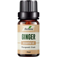 Ikebana Ginger Essential Oil (20 ml)