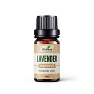 Ikebana Lavender Essential Oil (20 ml)