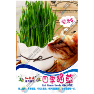 Imported Hybrid Chinese Cat Grass Intact Packet -20gm