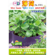 Imported Pudina Mint Seeds Intact Pack - 5gm