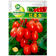 Imported Red Cherry Tomato Intact Pack - 1gm