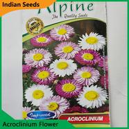Indian Flower Seeds in Bangladesh- Acroclinium Flower