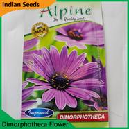 Indian Flower Seeds in Bangladesh- Dimorphotheca Flower