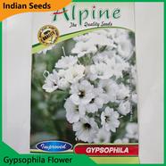 Indian Flower Seeds in Bangladesh- Gypsophila Flower