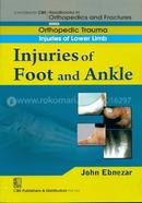 Injuries of Foot and Ankle - (Handbooks in Orthopedics and Fractures Series, Vol. 18 : Orthopedic Trauma Injuries of Lower Limb)