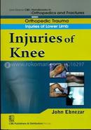 Injuries Of Knee (Handbooks in Orthopedics and Fractures Series, Vol. 15: Orthopedic Trauma Injuaries Of Lower Limb)