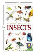 Insects - Animals
