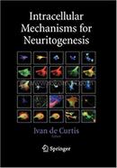 Intracellular Mechanisms for Neuritogenesis