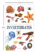 Invertebrates - Animals