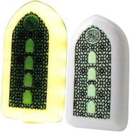 Islamic Plug In Quran