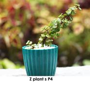 Brikkho Hat Jade Plant S (Small) - 333