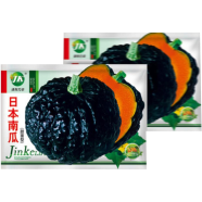 Japanese Black Pumpkin Seed 