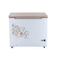 KONKA KDF 200 GB-GOLDEN Chest Freezer (200 LTR)