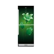 KONKA Refrigerator-KRB-270EVB-3D Green Lily, Bottom Freezer, with Digital Display (270 LTR)