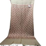 Kashmiri Poshmina Shawl For Women Winter