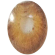 Ksseye Pattaya Brown Color Contact Lens - K114