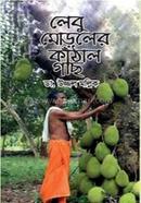 লেবু মোড়লের কাঁঠাল গাছ