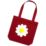 Ladies Shoulder Carry And Tote Bag With Zipper-RF-091
