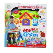 Learning Fun Apple Tree Gym