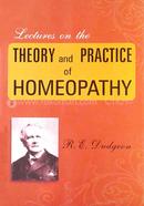 Lectures on the Theory And Practice of Homoeopathy