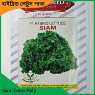 Letus Pata Seeds- Siam Letus Pata